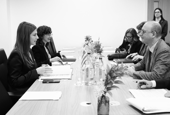 billateral meeting Italy- Greece Ministers of Education