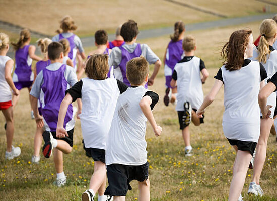 Two teams of cross country runners in a big race.